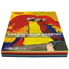 Carton color asortat 10 culori, A4, 120g/mp, 100coli/top, Daco CN120
