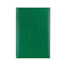 Agenda zilnica 2027, verde, Basic VO12 EGO