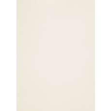 Carton A4, 320g/mp, 27coli/top, Natural White, Rives Tradition