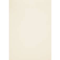 Carton A4, 100g/mp, 27coli/top, Pale Cream, Rives Tradition