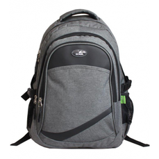 Ghiozdan adolescent 46cm, gri, 61516 Ecada