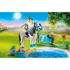 Figurina colectie, Ponei clasic, Country Playmobil