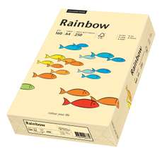 Carton copiator A4, 160g, colorat in masa chamois, Rainbow 06