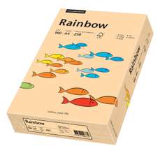 Carton copiator A4, 160g, colorat in masa somon, Rainbow 40