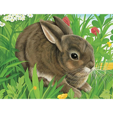 Puzzle in cutie, Animale, 12 piese, Ravensburger
