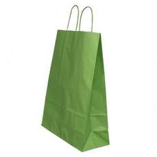 Punga cadou, dimensiuni 18x8x22cm, maner hartie rasucita, verde, Papiroti