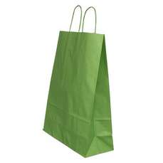 Punga cadou, dimensiuni 26x12x35cm, maner hartie rasucita, verde, Papiroti PAP04534