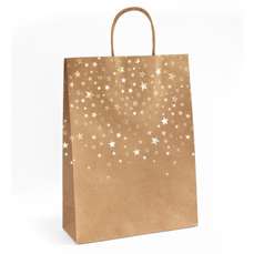 Punga cadou, kraft stele aurii, dimensiuni 33x10x24cm, 5buc/set, 257009 GP