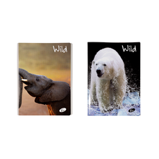 Caiet A5, 48file, matematica, design wild, Elisa