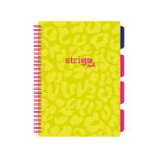Caiet cu spira B5, 100file, matematica, 4 separatoare, verde, Project Book Neon, Strigo Pads, PADS01