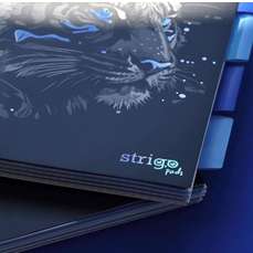 Caiet cu spira B5, 100file, dictando, 4 separatoare, Project Book Tigru, Strigo Pads, PADS096
