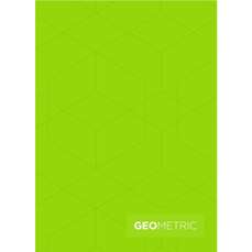 Caiet A4, 42file, matematica, design geometric, U100 500M