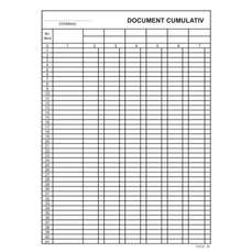 Document cumulativ A4, vertical