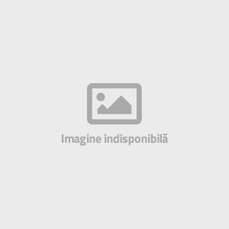 Capsator metal/plastic, verde, 24/6 si 26/6 E 25 Fresh Novus 020-1963
