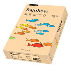 Carton copiator A4, 160g, colorat in masa somon, Rainbow 40