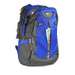 Rucsac laptop 15,6
