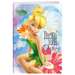 Caiet A4, 50+2file, dictando, Fairies