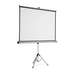 Ecran proiectie pe trepied, manual, 175x133cm, Nobo