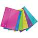 Mapa plastic cu capsa A4, diverse culori, Wow Leitz, 44690099