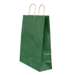 Punga cadou, dimensiuni 26x12x35cm, maner hartie rasucita, verde dungi, Papiroti