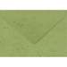 Plic C6 verde iarba, gumat, 120g, 25buc/set, Daco PC612VI/R