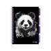 Caiet cu spira B5, 100file, dictando, 4 separatoare, Project Book Panda, Strigo Pads, PADS097