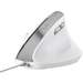 Mouse optic, 6 butoane si 1 scroll, alb, ergonomic vertical, Bayo II Trust
